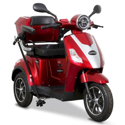 E Trike 15 Bg 02