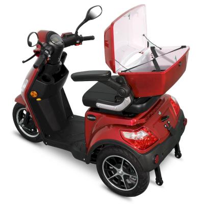 E Trike 15 Bg 07