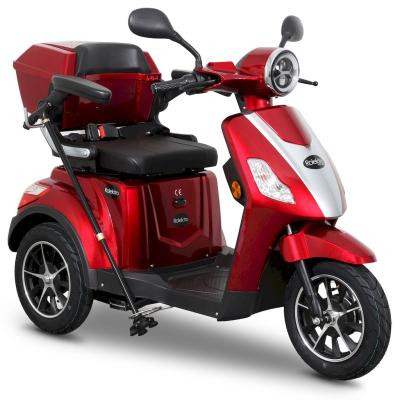 E Trike 15 Bg 10