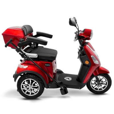 33174 E Trike 15v3 Rot 005