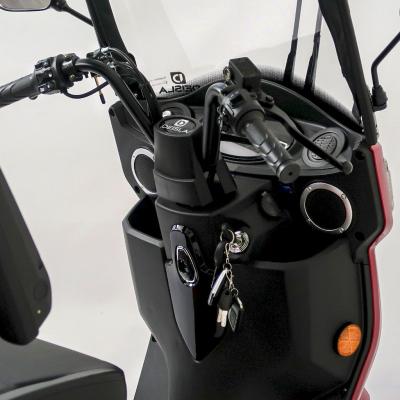Deisla Detail 001