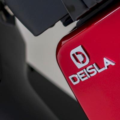Deisla Detail 004