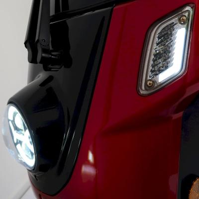 Deisla Detail 005